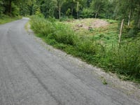 Aachener Wald über Bischof-Hemmerle-Weg