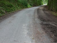 Aachener Wald über Bischof-Hemmerle-Weg