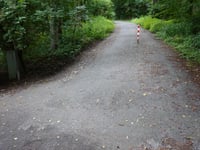 Aachener Wald über Diepenbenden