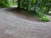 Aachener Wald über Diepenbenden