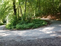 Aachener Wald über Düsbergweg