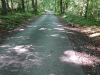 Aachener Wald über Düsbergweg