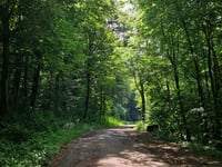 Aachener Wald via Osterweg