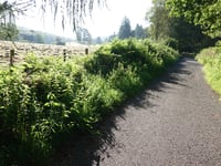 Aachener Wald via Osterweg