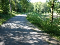 Aachener Wald über Eberburgweg