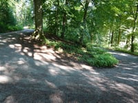 Aachener Wald über Eberburgweg