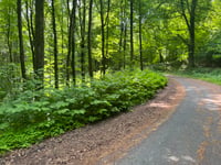 Aachener Wald über Eberburgweg