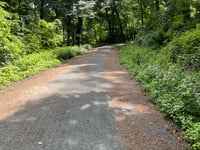 Aachener Wald über Eberburgweg