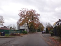 Aan de Beuk via Kaalweg