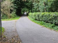 Aaper Wald von Mörsenbroich