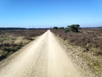 Aardmansberg über Hofweg