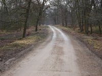 Aardmansberg über Hofweg