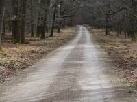 Aardmansberg über Hofweg