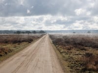 Aardmansberg über Hofweg