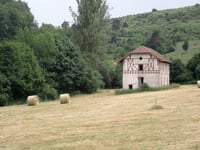 Abaurregaina from Aribe