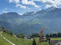 Ächerlipass da Dallenwil
