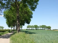 Achtbundersweg von Ransdaal