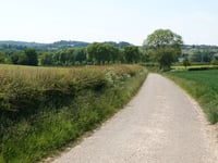 Achtbundersweg von Ransdaal