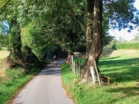 Achter de Houw über Veldstraat