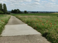 Achter Het Broek da Rosmeer