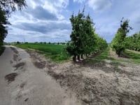 Achter Het Broek da Rosmeer
