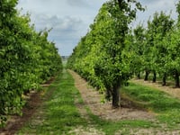 Achter Het Broek da Rosmeer