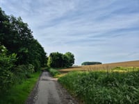 Achteromsweg por Steenbergswegske