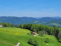 Adelspach da Sainte-Marie-aux-Mines
