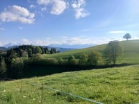 Aebersold von Linden