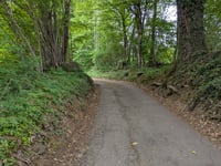 Aeschi von Spiez über Spiezgässli
