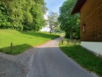 Aeschi von Spiez über Spiezgässli