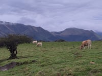 Ahusquy from Saint Jean le Vieux via Béhorleguy
