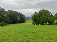 Alberberg von Spiesberg