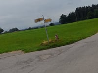Alberberg von Spiesberg