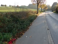Albertstrasse von Hastenrath