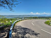 Albispasshöhe von Türlen