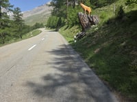 Albulapass from Punt