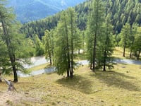 Albulapass from Punt