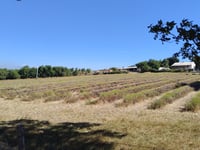 Aleyrac von Salles sous Bois über Les Artaux