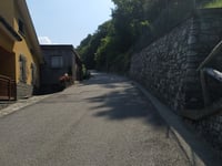 Alfaedo von Selvetta