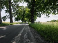 Alleen von Constantinsborg