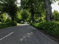 Alleen von Constantinsborg