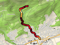 Allmendstrasse da Wangen bei Olten