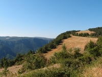 Almières von Les Vignes