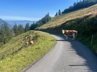 Alp Gehrenen da Kien