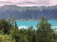 Alp Harzisboden von Iseltwald