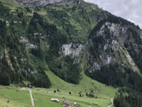 Alp Harzisboden von Iseltwald