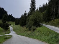 Alp Nagens