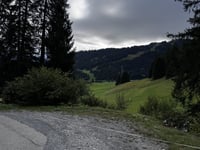 Alp Nagens