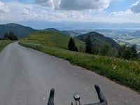 Alp Scheidegg da Wald